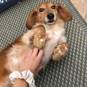 Meet your Posher, Arianna